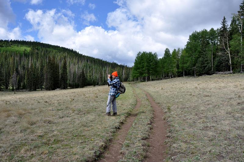 1006120849-Baldy 125.jpg